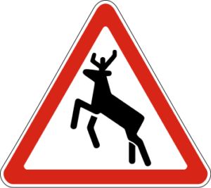 1.27. Дикие животные