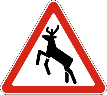 1.27. Дикие животные